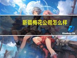 新疆梅花公司怎么样（新疆梅花草简介）