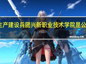 新疆生产建设兵团兴新职业技术学院是公办还是民办