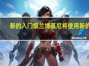 新的入门级兰博基尼将使用新的5.2升V10功率约为600bhp