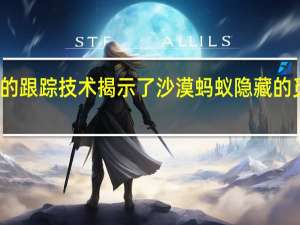 新的跟踪技术揭示了沙漠蚂蚁隐藏的觅食生活