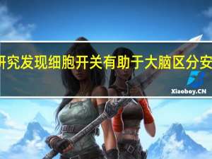 新研究发现细胞开关有助于大脑区分安全与危险