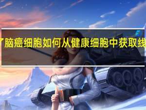 新研究概述了脑癌细胞如何从健康细胞中获取线粒体以生长和存活