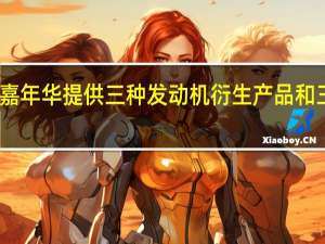 新福特嘉年华提供三种发动机衍生产品和三种规格等级