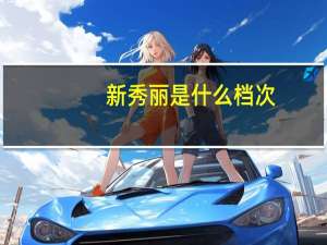 新秀丽是什么档次
