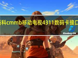 新科cmmb移动电视4311数码卡接口是什么（新科cmmb移动电视）