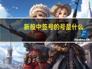 新股中签号的号是什么