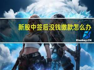 新股中签后没钱缴款怎么办（新股中签后怎么缴款）