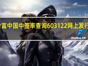 新股合富中国中签率查询 603122网上发行中签率多少