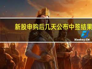 新股申购后几天公布中签结果（新股申购后几天公布中签）