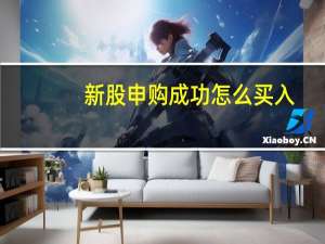 新股申购成功怎么买入（如何买新股申购）