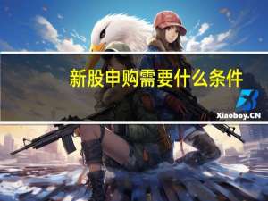 新股申购需要什么条件？应该怎样申购？