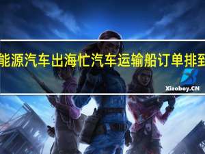 新能源汽车出海忙 汽车运输船订单排到2026年