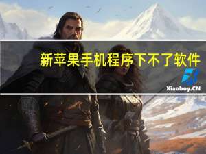 新苹果手机程序下不了软件