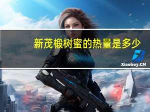 新茂 椴树蜜的热量是多少