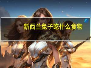 新西兰兔子吃什么食物