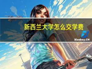 新西兰大学怎么交学费