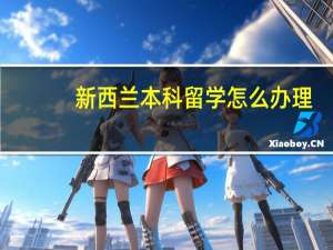 新西兰本科留学怎么办理