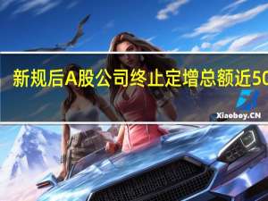 新规后A股公司终止定增总额近500亿