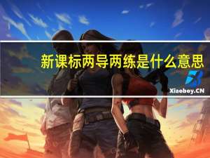 新课标两导两练是什么意思