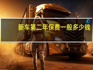 新车第二年保费一般多少钱（人保新车第二年要多少钱）