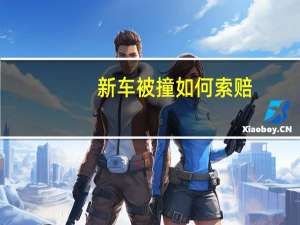 新车被撞如何索赔