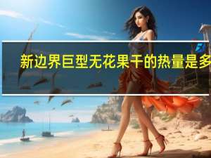 新边界 巨型无花果干的热量是多少