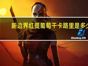 新边界 红提葡萄干卡路里是多少