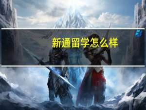 新通留学怎么样