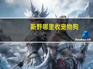 新野哪里收宠物狗