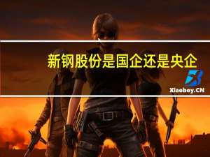 新钢股份是国企还是央企