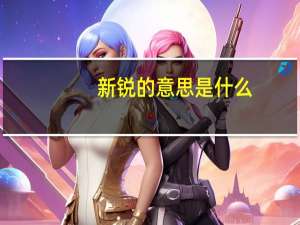 新锐的意思是什么
