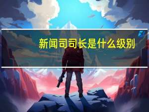 新闻司司长是什么级别