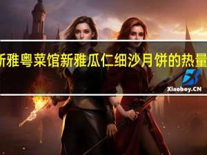 新雅粤菜馆 新雅瓜仁细沙月饼的热量是多少