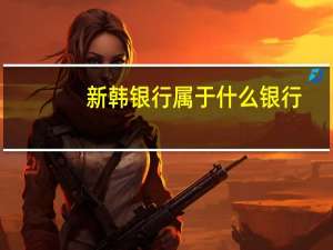 新韩银行属于什么银行