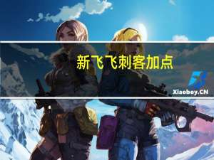 新飞飞刺客加点（新飞飞战士加点）