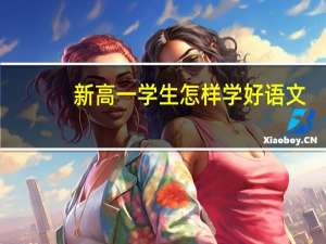 新高一学生怎样学好语文