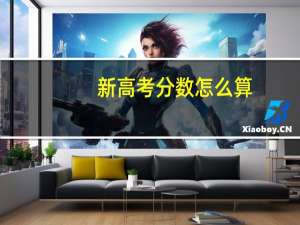 新高考分数怎么算