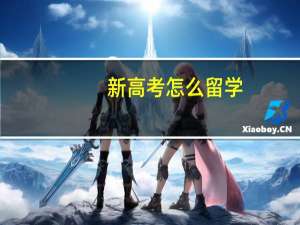 新高考怎么留学