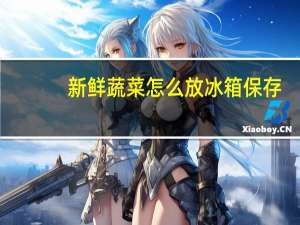 新鲜蔬菜怎么放冰箱保存