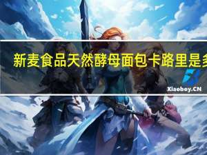 新麦食品 天然酵母面包卡路里是多少
