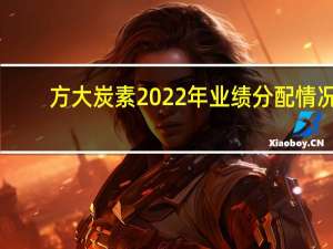 方大炭素2022年业绩分配情况（方大炭素股票代码是多少）