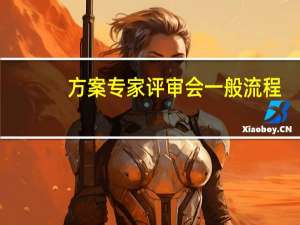 方案专家评审会一般流程