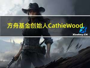 方舟基金创始人Cathie Wood：美联储做得过头了未来通胀将会出现更严重的放缓