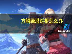 方鳞绿塔烂根怎么办