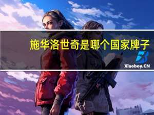 施华洛世奇是哪个国家牌子（施华洛世奇是哪个国家的品牌）