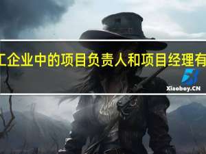 施工企业中的项目负责人和项目经理有什么不同