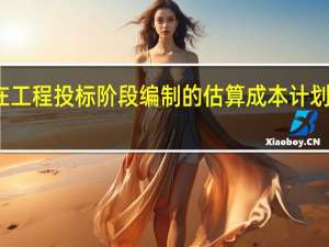 施工企业在工程投标阶段编制的估算成本计划是一种（  ）成本计划。