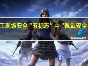 施工现场安全“五标志”中“佩戴安全帽”属于( )标志。
