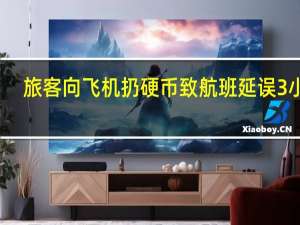 旅客向飞机扔硬币致航班延误3小时？广州机场警方：正调查