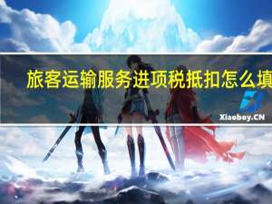 旅客运输服务进项税抵扣怎么填表